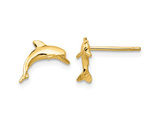 14K Yellow Gold Polished Dolphin Charm Post Earrings 